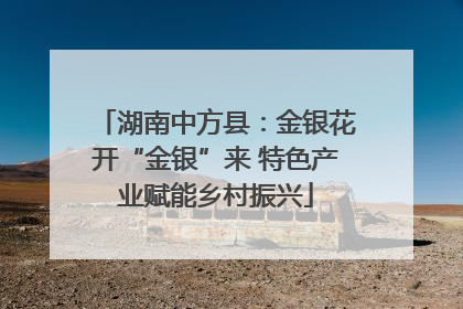 湖南中方县：金银花开“金银”来 特色产业赋能乡村振兴