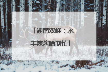 湖南双峰：永丰辣酱晒制忙