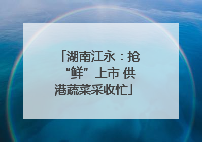 湖南江永：抢“鲜”上市 供港蔬菜采收忙