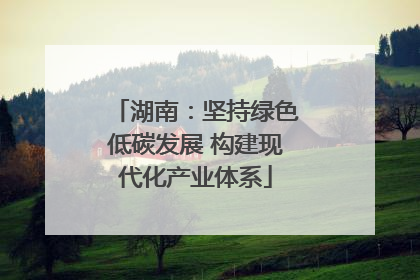 湖南：坚持绿色低碳发展 构建现代化产业体系