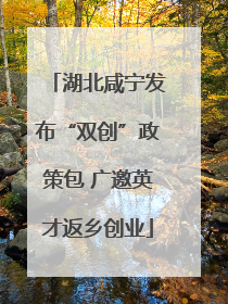 湖北咸宁发布“双创”政策包 广邀英才返乡创业