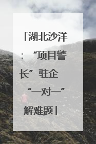 湖北沙洋：“项目警长”驻企 “一对一”解难题