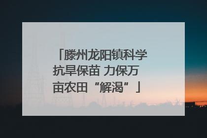 滕州龙阳镇科学抗旱保苗 力保万亩农田“解渴”