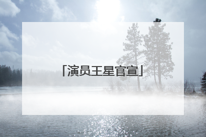 演员王星官宣