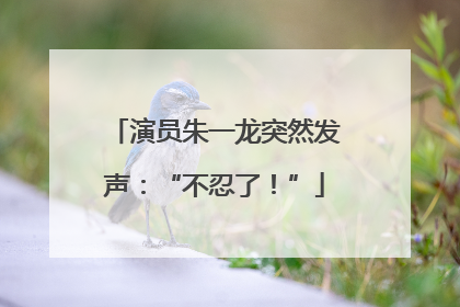 演员朱一龙突然发声：“不忍了！”