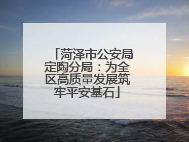菏泽市公安局定陶分局：为全区高质量发展筑牢平安基石