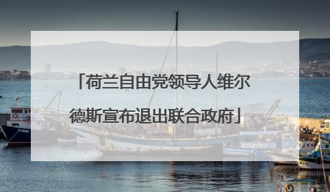 荷兰自由党领导人维尔德斯宣布退出联合政府