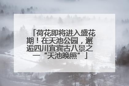 荷花即将进入盛花期！在天池公园，邂逅四川宜宾古八景之一“天池晚照”