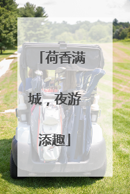 荷香满城，夜游添趣