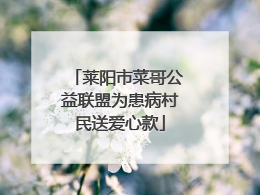 莱阳市菜哥公益联盟为患病村民送爱心款
