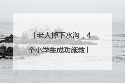 老人掉下水沟，4个小学生成功施救