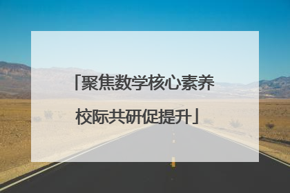 聚焦数学核心素养 校际共研促提升