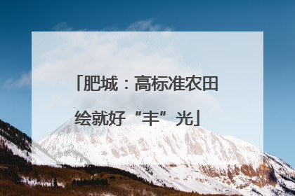 肥城：高标准农田绘就好“丰”光