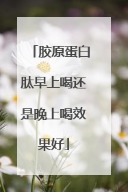 胶原蛋白肽早上喝还是晚上喝效果好