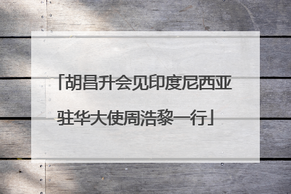 胡昌升会见印度尼西亚驻华大使周浩黎一行