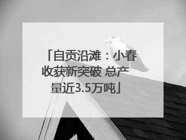 自贡沿滩：小春收获新突破 总产量近3.5万吨
