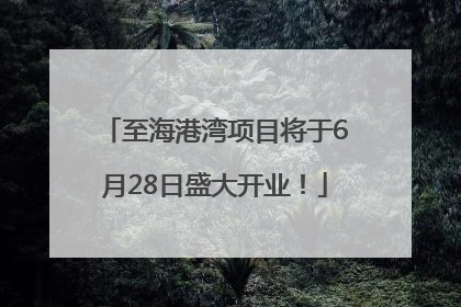 至海港湾项目将于6月28日盛大开业！