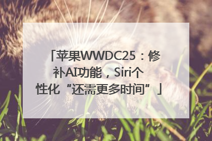 苹果WWDC25：修补AI功能，Siri个性化“还需更多时间”