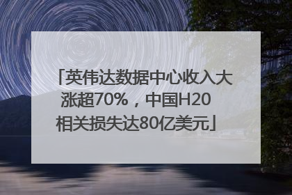 英伟达数据中心收入大涨超70%，中国H20相关损失达80亿美元