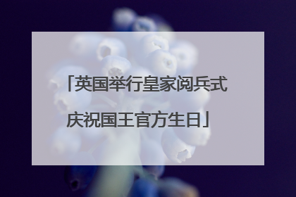 英国举行皇家阅兵式庆祝国王官方生日