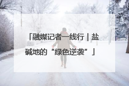 融媒记者一线行｜盐碱地的“绿色逆袭”