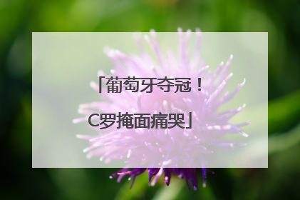 葡萄牙夺冠！C罗掩面痛哭