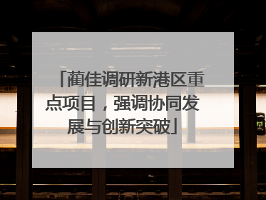 蔺佳调研新港区重点项目，强调协同发展与创新突破