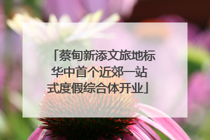 蔡甸新添文旅地标 华中首个近郊一站式度假综合体开业