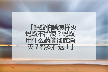 蚂蚁怕啥怎样灭蚂蚁不留痕？蚂蚁用什么药能彻底消灭？答案在这！