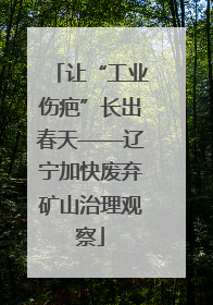 让“工业伤疤”长出春天——辽宁加快废弃矿山治理观察