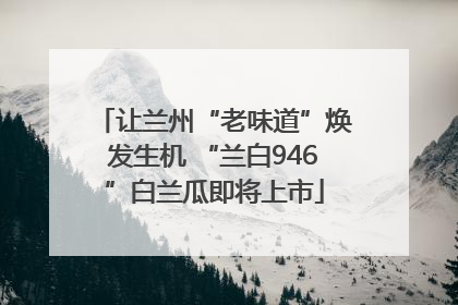 让兰州“老味道”焕发生机 “兰白946”白兰瓜即将上市