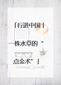 行进中国丨一株水草的“点金术”