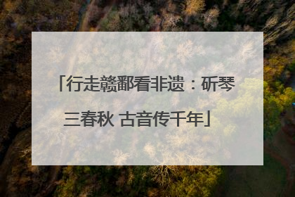 行走赣鄱看非遗：斫琴三春秋 古音传千年