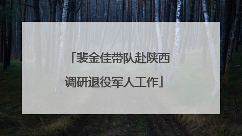 裴金佳带队赴陕西调研退役军人工作