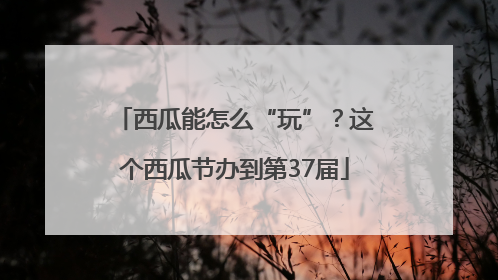 西瓜能怎么“玩”？这个西瓜节办到第37届