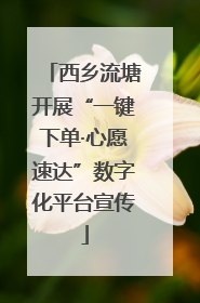 西乡流塘开展“一键下单·心愿速达”数字化平台宣传