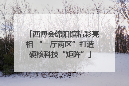 西博会绵阳馆精彩亮相 “一厅两区”打造硬核科技“矩阵”
