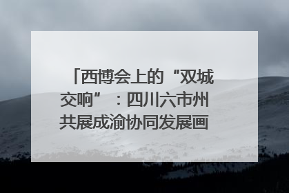 西博会上的“双城交响”：四川六市州共展成渝协同发展画卷｜西博视界