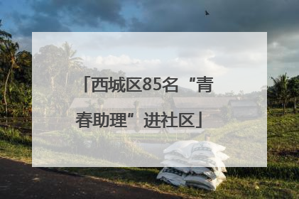 西城区85名“青春助理”进社区