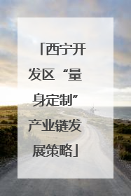 西宁开发区“量身定制”产业链发展策略