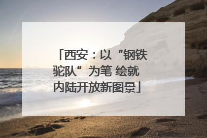 西安：以“钢铁驼队”为笔 绘就内陆开放新图景