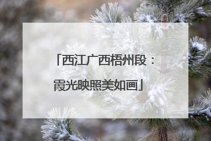 西江广西梧州段：霞光映照美如画