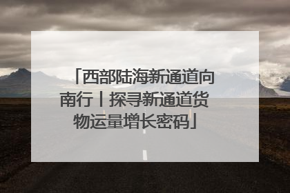 西部陆海新通道向南行丨探寻新通道货物运量增长密码