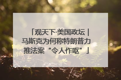 观天下·美国政坛｜马斯克为何称特朗普力推法案“令人作呕”