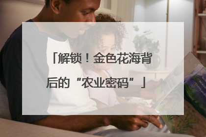 解锁！金色花海背后的“农业密码”