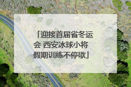 迎接首届省冬运会 西安冰球小将假期训练不停歇