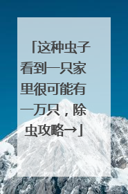 这种虫子看到一只家里很可能有一万只，除虫攻略→