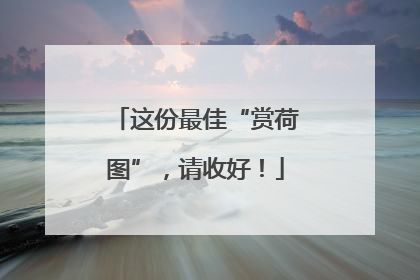 这份最佳“赏荷图”，请收好！