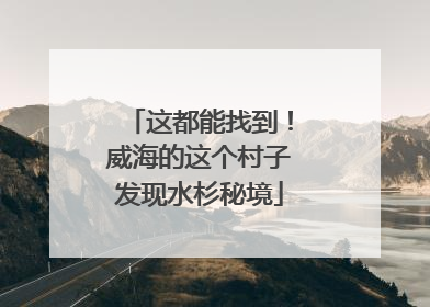 这都能找到！威海的这个村子发现水杉秘境