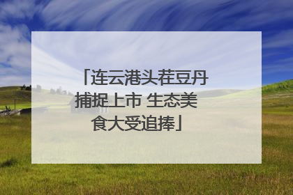 连云港头茬豆丹捕捉上市 生态美食大受追捧